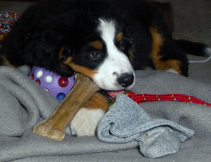 Anton PICT0486 (4)_BildgrÃ¶ÃŸe Ã¤ndern.jpg